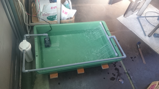 2015-03-25 16.35.39.jpg