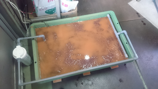 2015-03-25 17.10.39.jpg