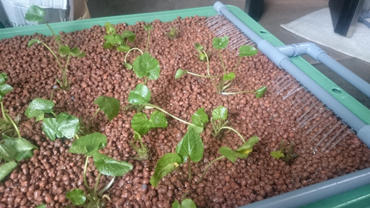 2015-04-013 09.40.49.jpg