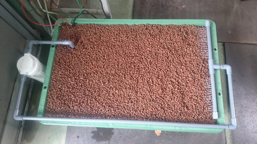 2015-04-02 13.07.30.jpg