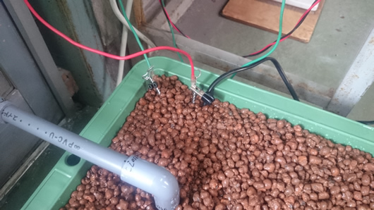 2015-04-02 13.07.36.jpg