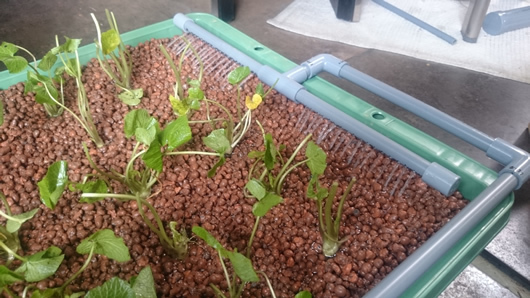 2015-04-06 12.25.47.jpg