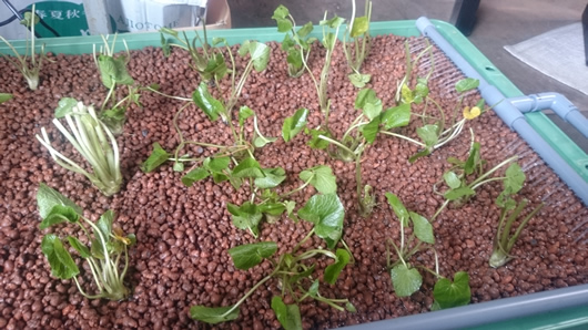 2015-04-06 12.25.52.jpg