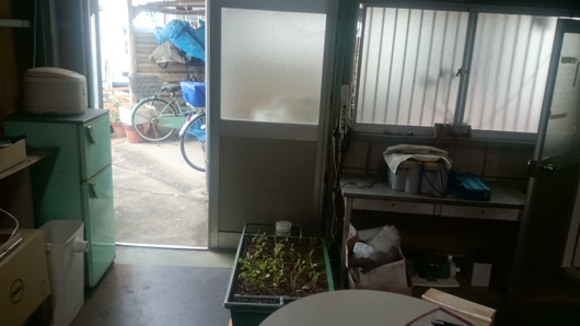 2015-04-06 12.28.25.jpg