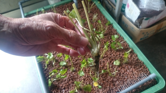 2015-04-06 12.30.02.jpg