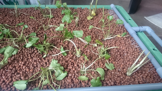 2015-04-07 16.07.08.jpg