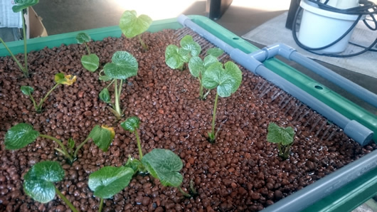 2015-04-27 10.34.46.jpg