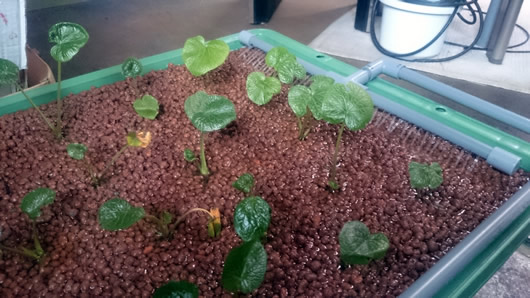 2015-05-04 16.03.jpg