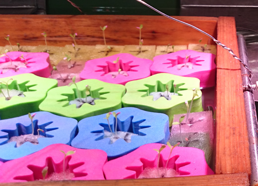 2015-09-10 11.59.jpg