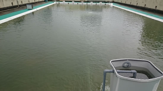 2016-06-28 07.56.jpg