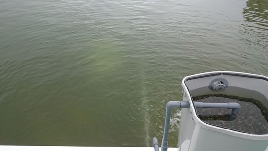 2016-07-06 08.05.jpg