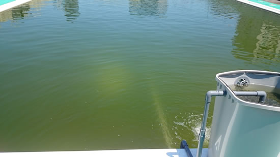 2016-07-18 10.56.jpg