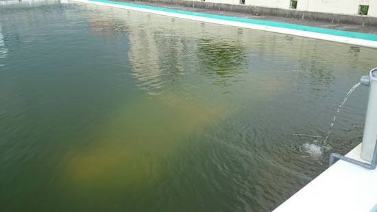 2016-08-02 15.41.jpg