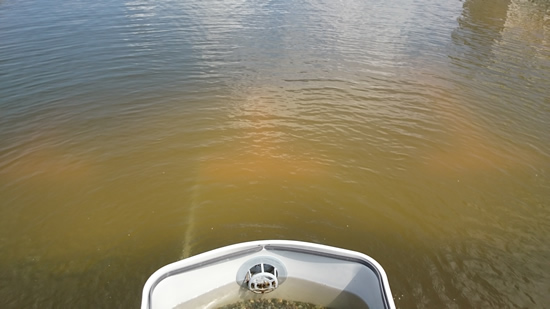 2016-08-16 10.13.jpg