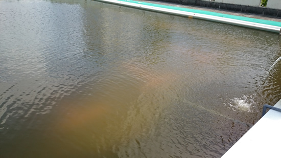 2016-08-16 10.14.jpg