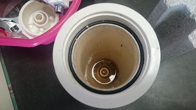 2016-09-29 12.49.22.jpg