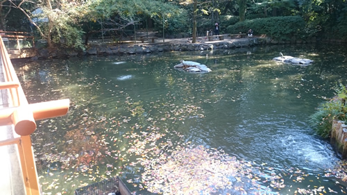 2016-11-16 11.45.jpg