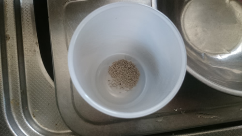 2017-03-16 11.03.53.jpg