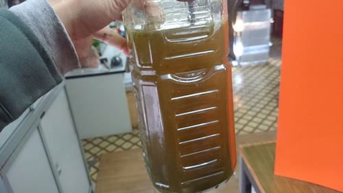 2017-03-21 09.22.02.jpg