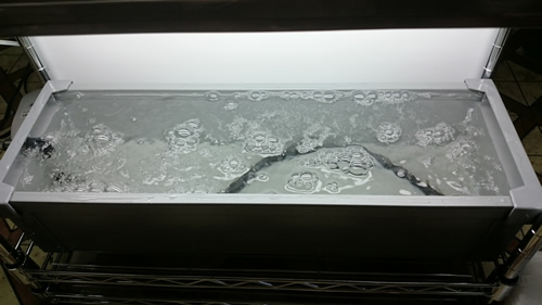 2017-03-28 10.36.30.jpg