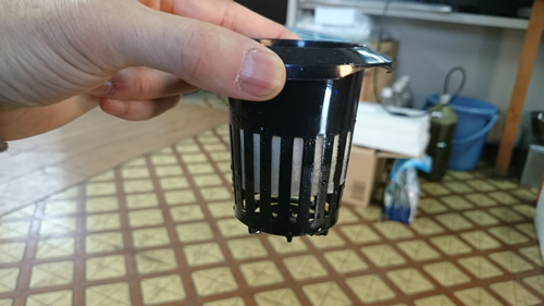 2017-03-28 10.37.42.jpg