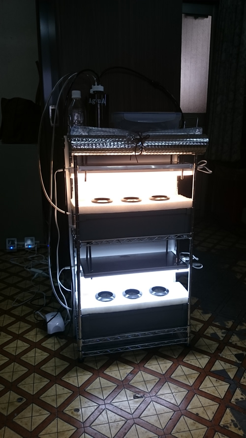 2017-03-28 11.16.58.jpg