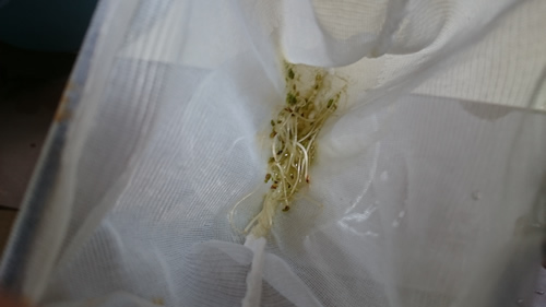 2017-03-30 11.29.52.jpg