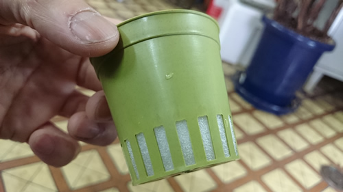 2017-03-31 09.07.55.jpg