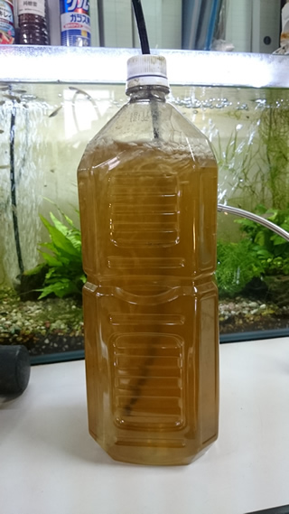 2017-04-07 11.16.10.jpg