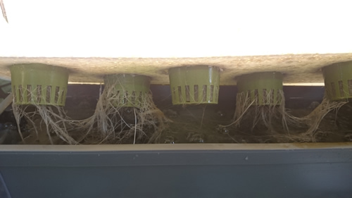 2017-05-01 08.13.17.jpg