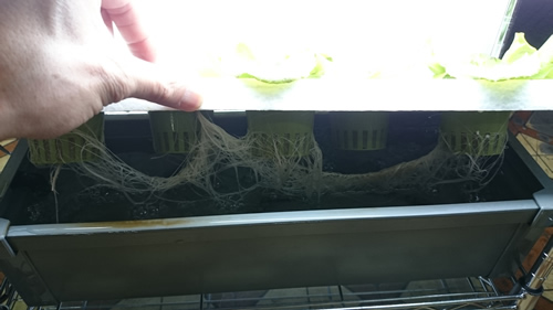 2017-05-02 17.33.44.jpg