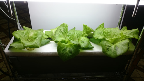 2017-05-08 11.25.12.jpg