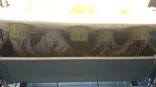 2017-05-08 11.25.30.jpg