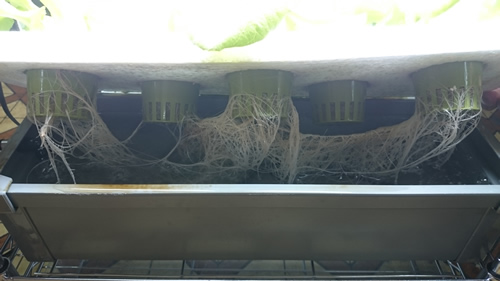 2017-05-08 11.25.51.jpg