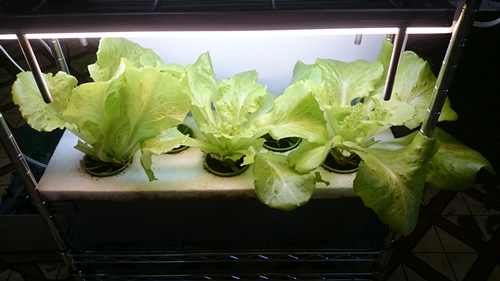 2017-06-23 09.49.41.jpg