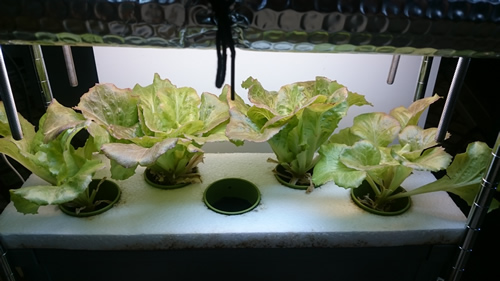 2017-06-23 09.50.03.jpg