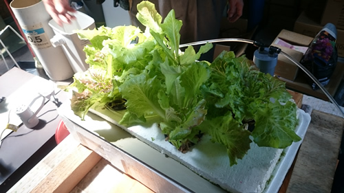 2017-06-23 09.57.01.jpg