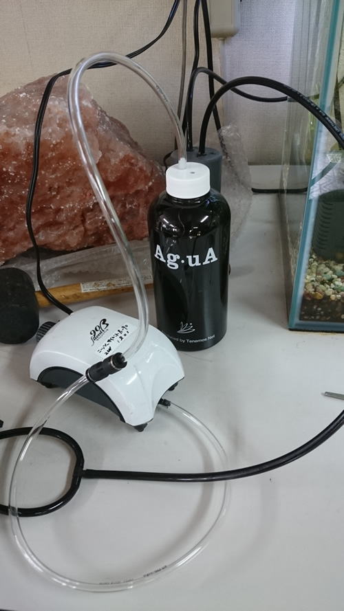 2017-07-28 11.38.05.jpg