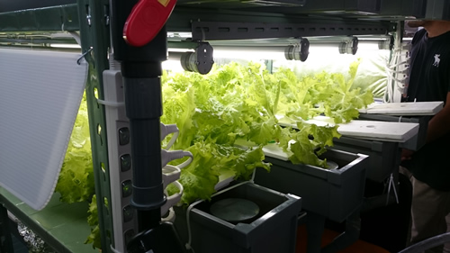 2017-11-11 12.39.04.jpg