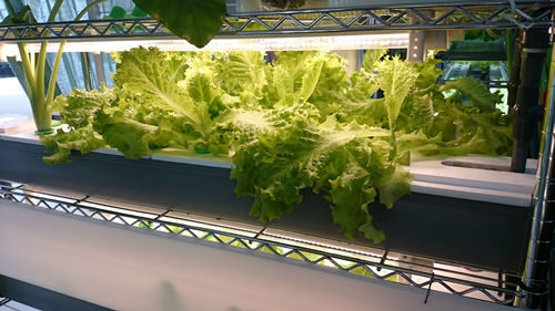 2017-11-11 12.43.33.jpg