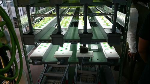 2017-11-11 12.45.14.jpg