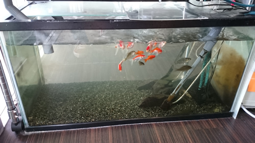 2017-11-11 12.45.47.jpg