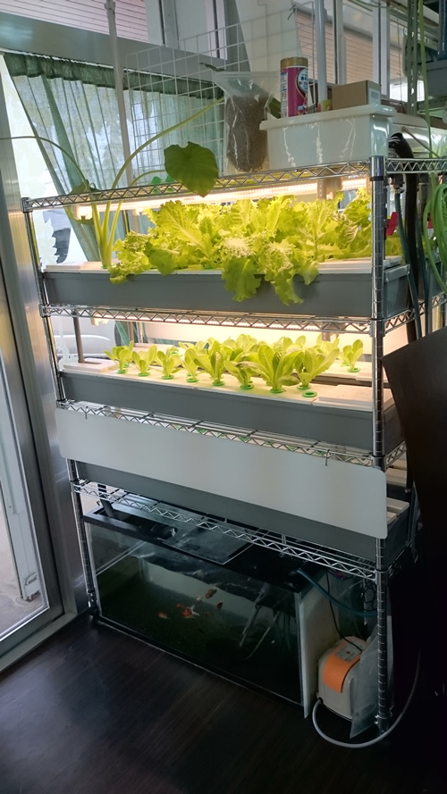 2017-11-11 12.50.10.jpg