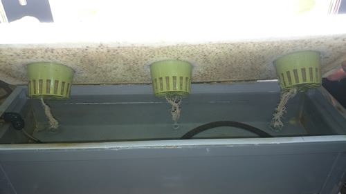 2017-11-14 17.09.16.jpg