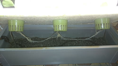 2017-11-14 17.09.34.jpg