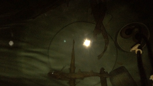 マナウォーターとバンブーで岩魚の飼育実験