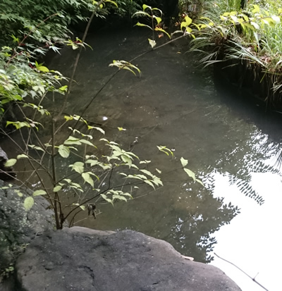 2016-06-29 13.07.jpg