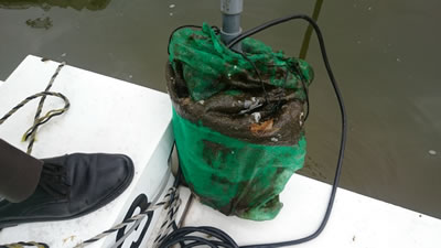 2016-11-08 10.49.jpg