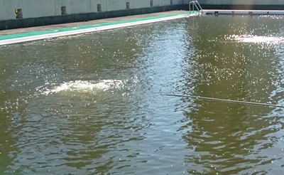 2016-11-16 11.13.jpg