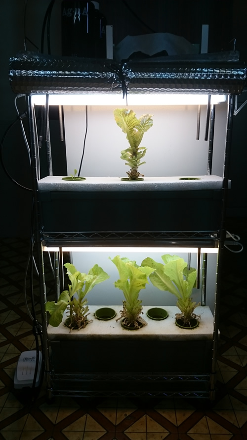 2017-07-28 15.20.21.jpg